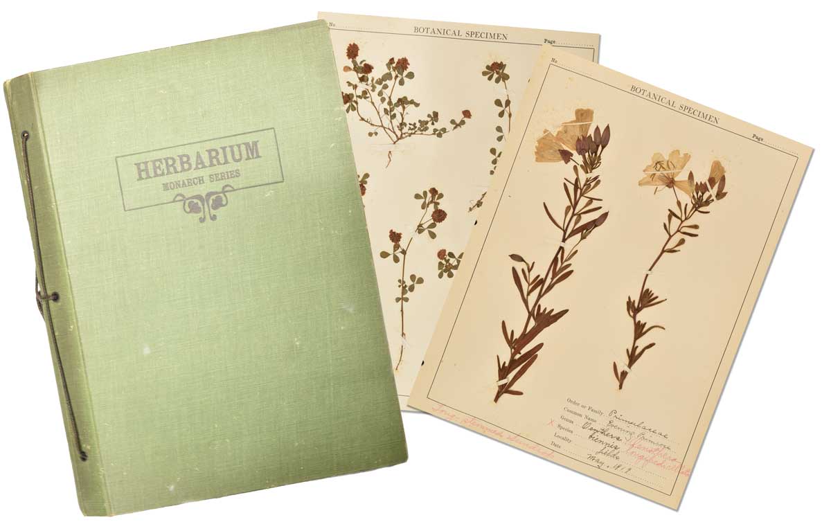cover and pages of herbarium