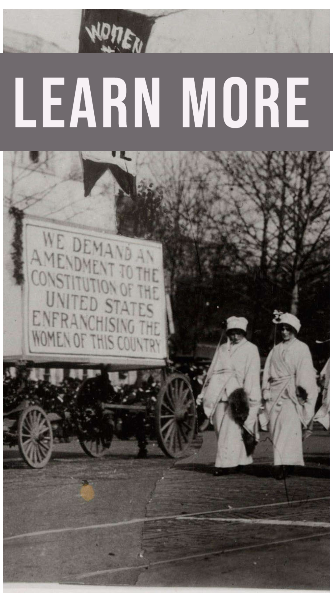 photo of women marching for a constitutional ammendment